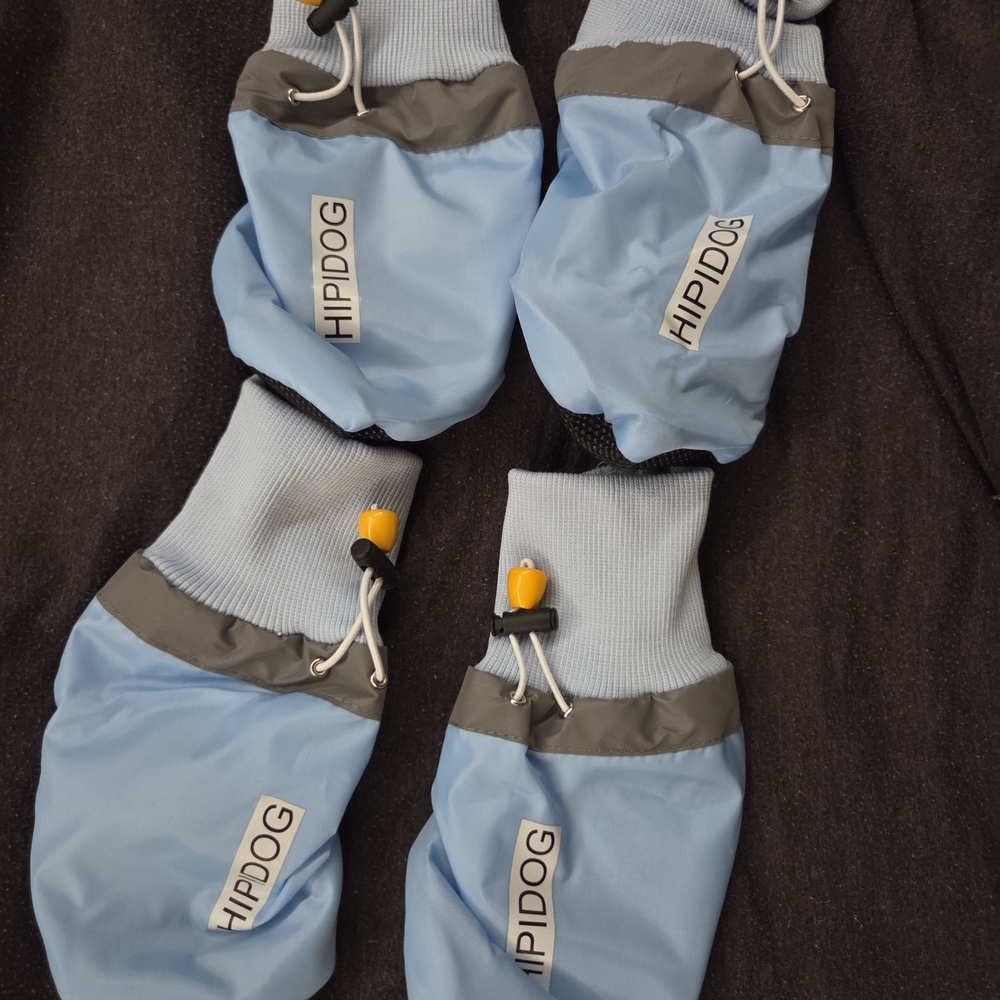 Blue and Gray Dog Clothing Accessories
